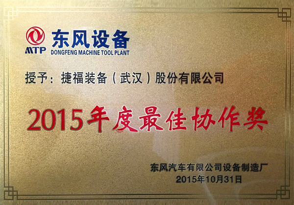  2015 Best Synergy Award 